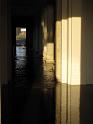 2011-01-17, Pillnitz (12)